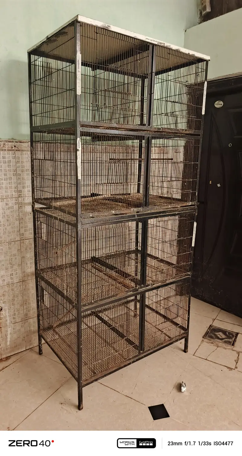 perit cage