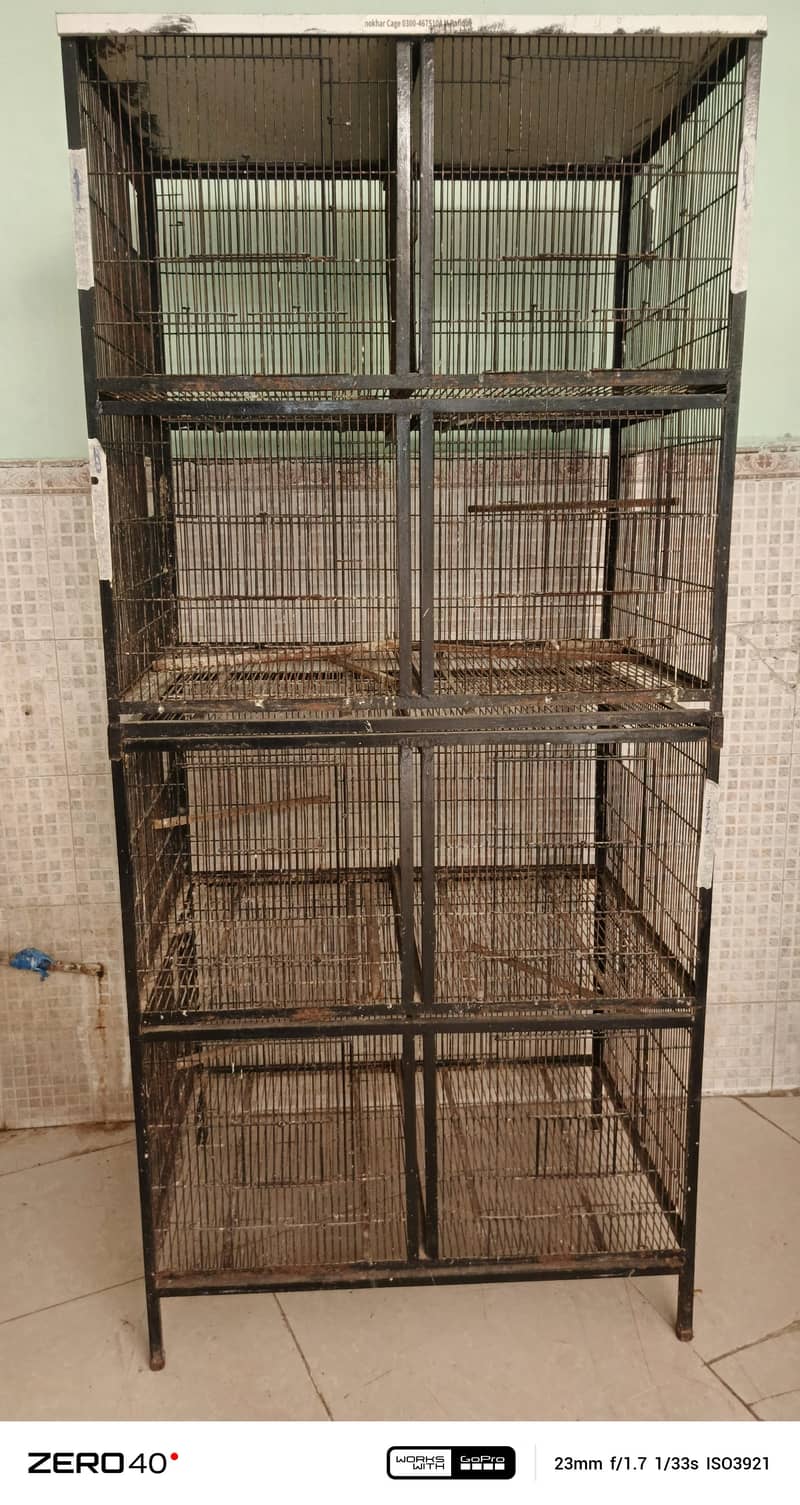 perit cage 1