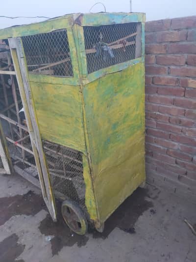 kabutr pinjra