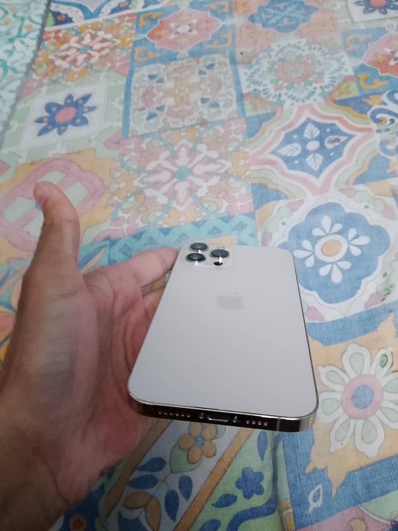 12 pro max 4
