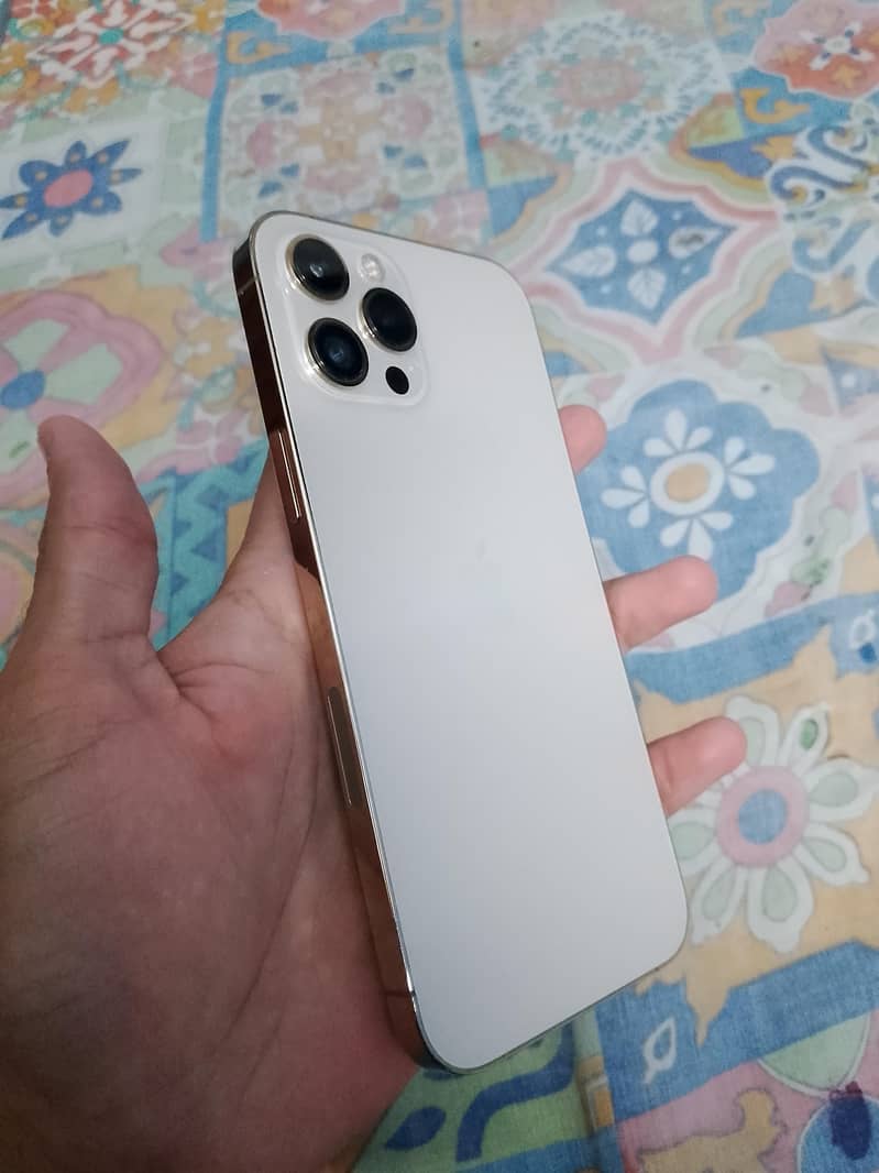 12 pro max 6
