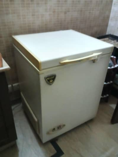 wavest deep freezer