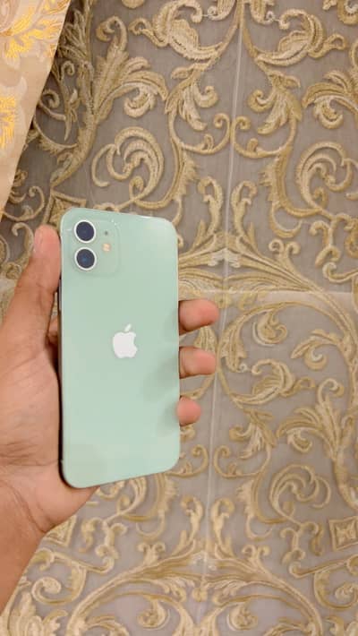 iPhone 12 pta proved water pack