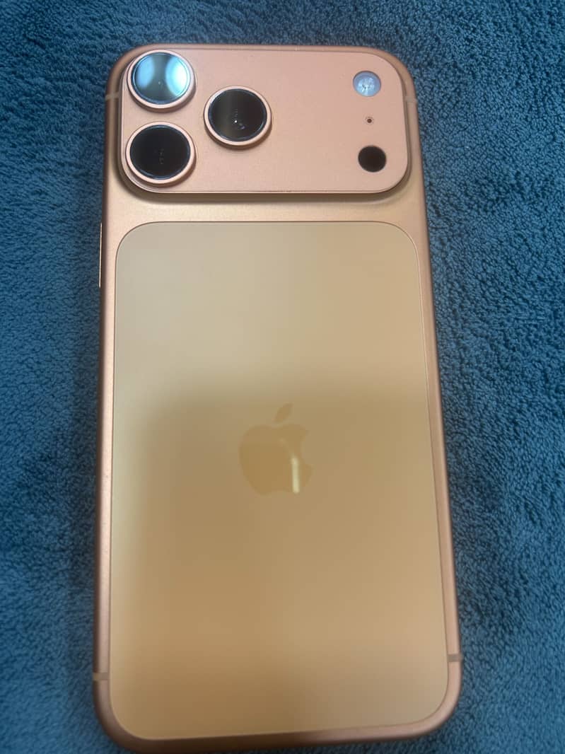 17 pro max 1