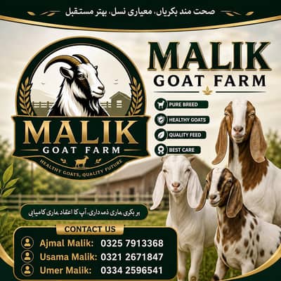 Qurbani 2k26 ki Collection