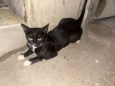 Khotyyyy di bachiiii