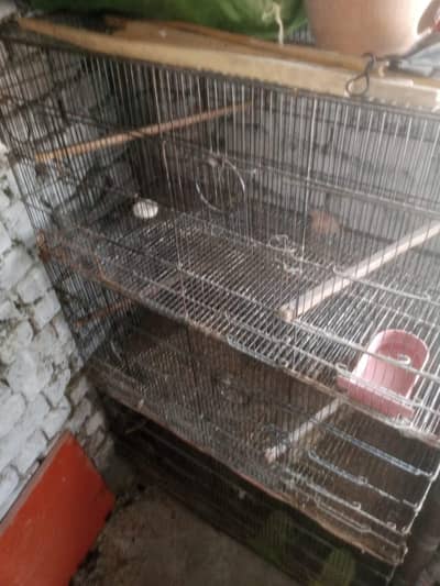 Parrot Cages