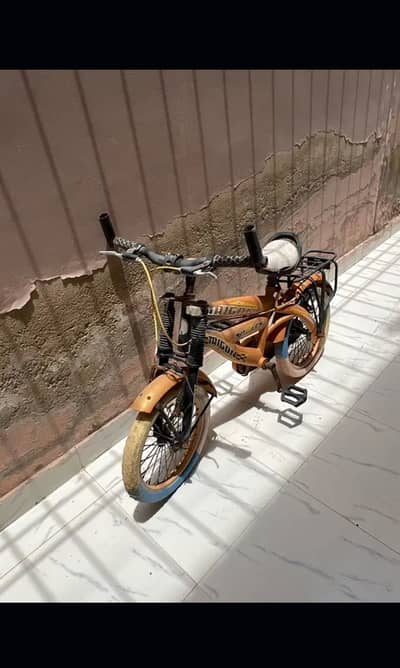 Trigon Sports Cycle