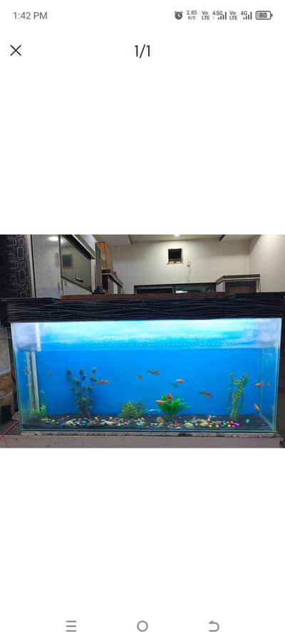 Aquarium For Sale 4.5 feet 8mm