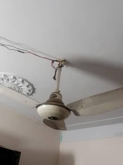 Pure cooper Ceiling fans 4 Pieces