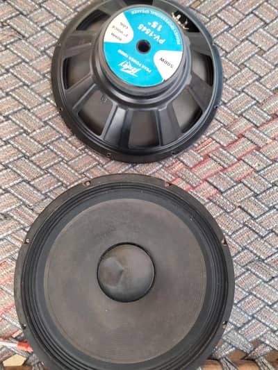 15 inch Speaker For Sale