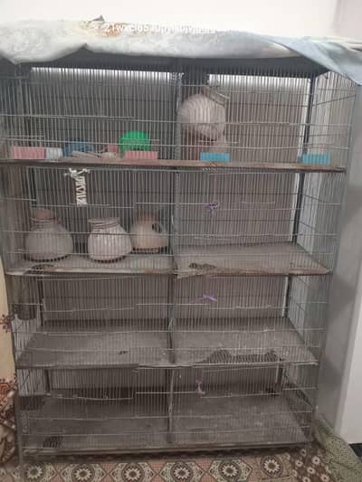 Bird cage