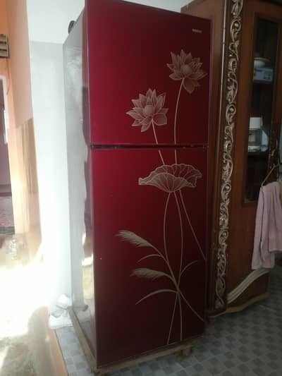 orient fridgee