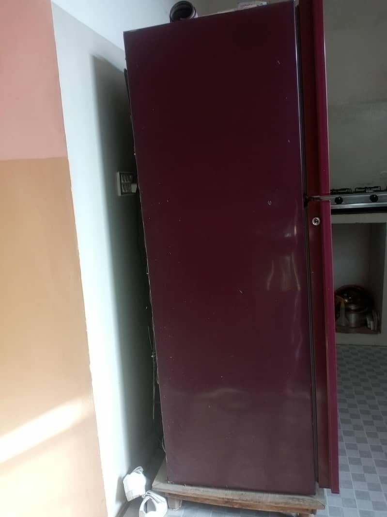 orient fridgee 1