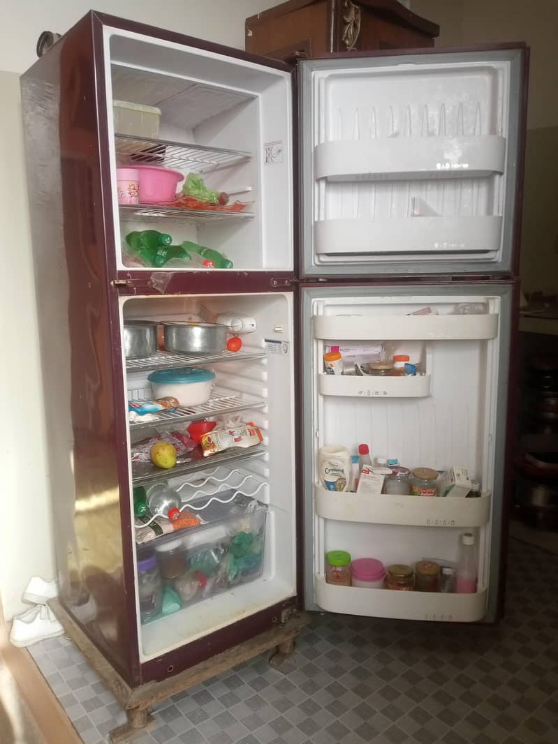 orient fridgee 2