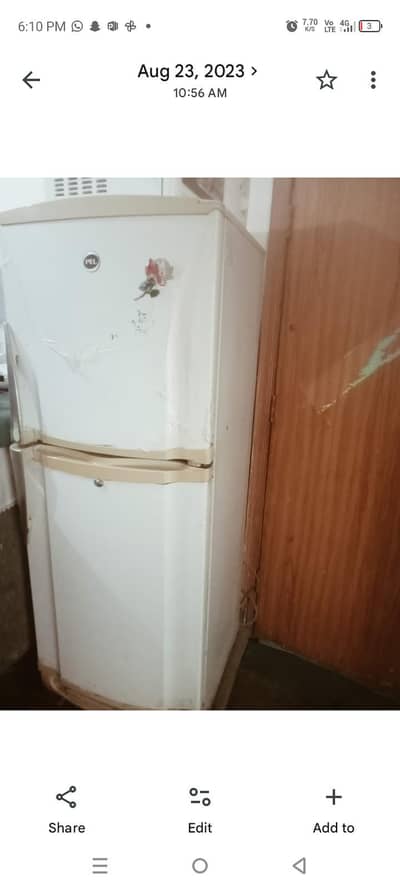 medium size fridge pel