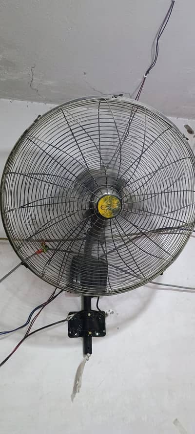 fan . . .