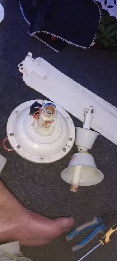 Fufi fan ha all ok 03001264009