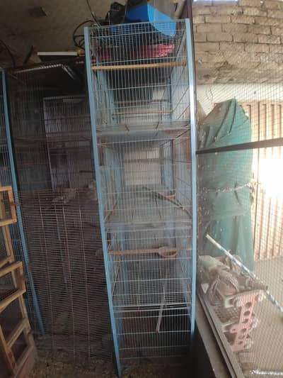 4 portion 6 Cages Available