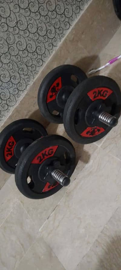 dumbbells rubber coated plats home gym