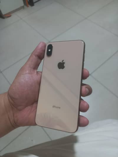 xsmax 256gb