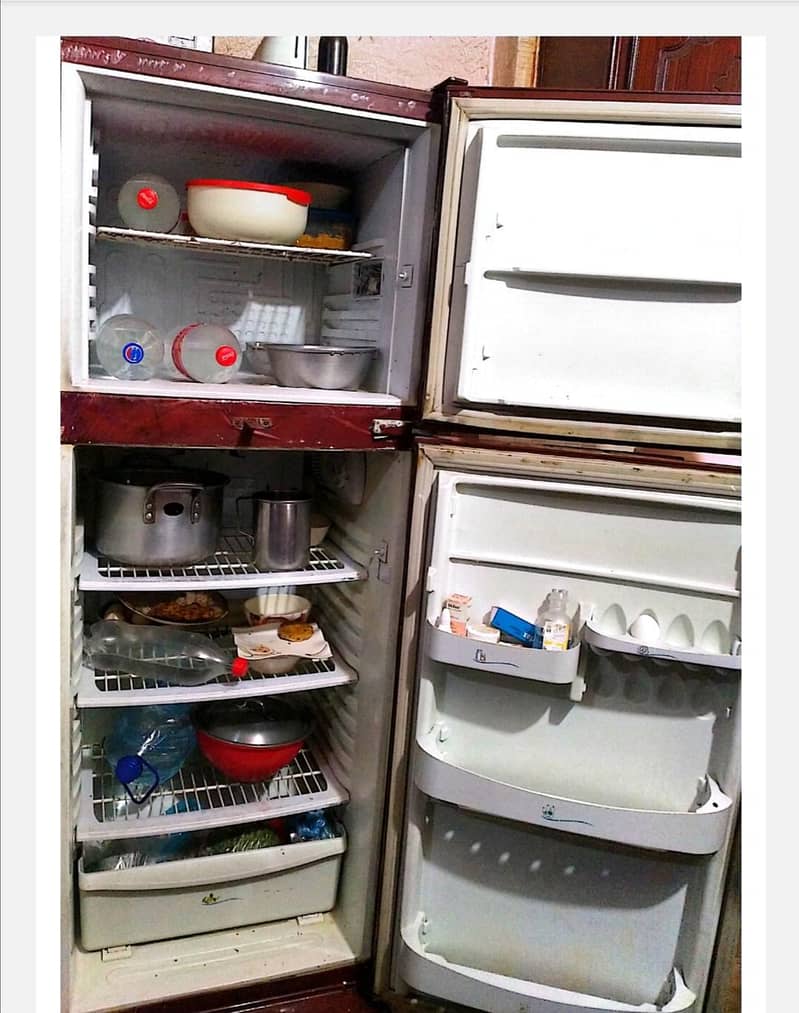 Pell fridge 3
