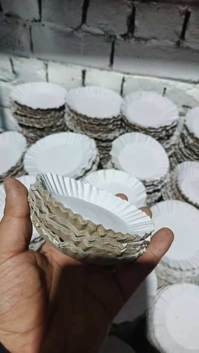 Paper plates disposable