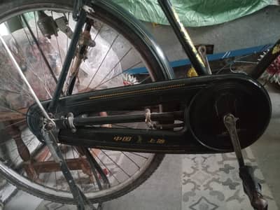 china cycle phoenix Urgent For sale Mor WhatsApp 0348/0490/403