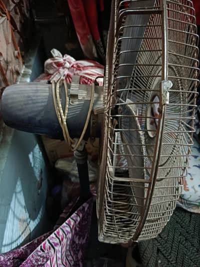 Ceiling Fan Pedestal Fan