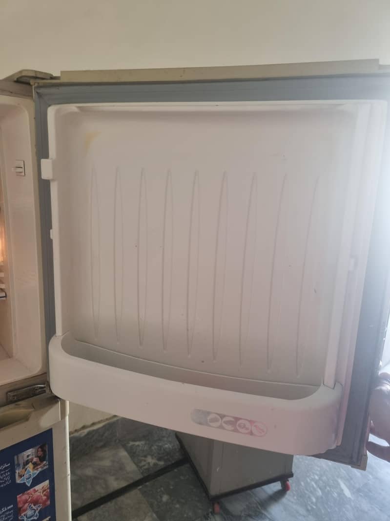 fridge 1