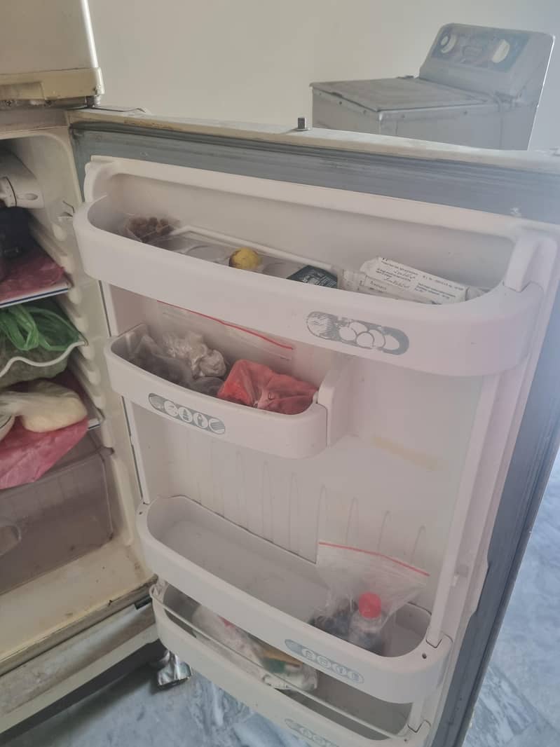 fridge 3