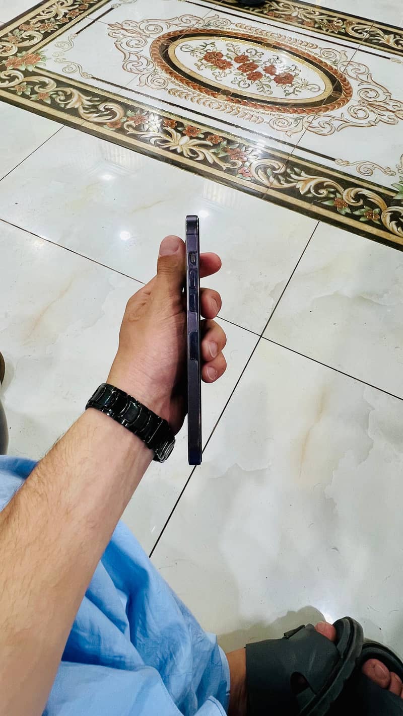 14 Pro Max 4