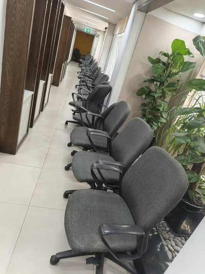 imported Revoling chairs