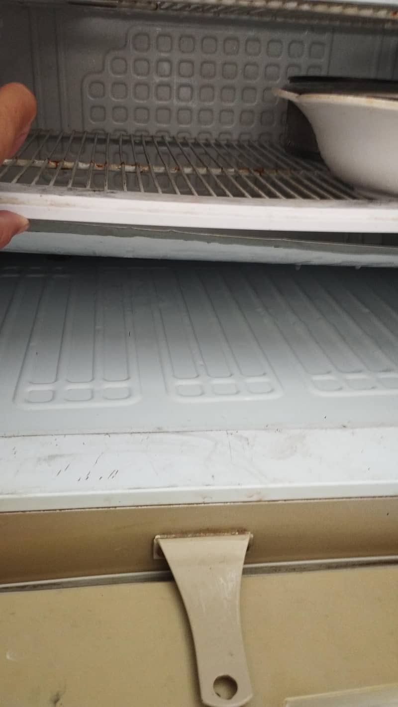 pell fridge 1