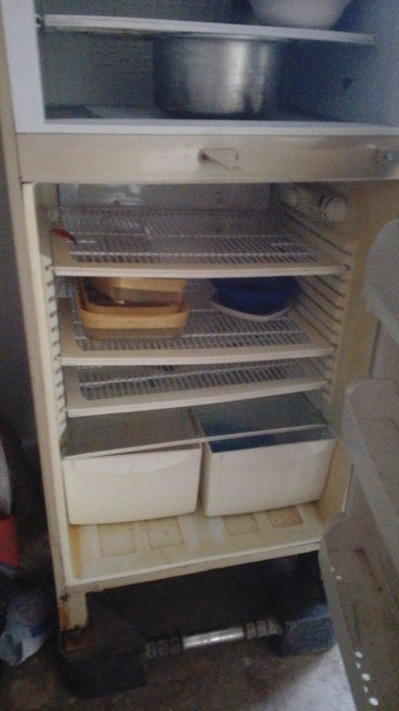 pell fridge 4