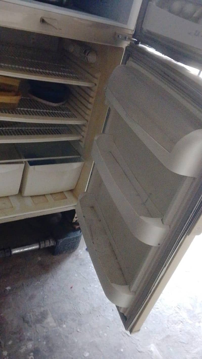 pell fridge 6