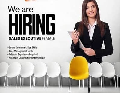 Sales Executive