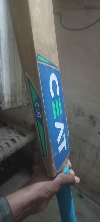 Hard ball bat
