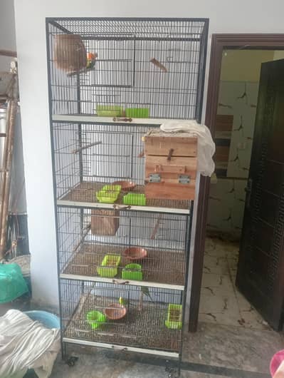 birds cages