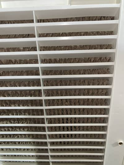 ECM 6500 air cooler
