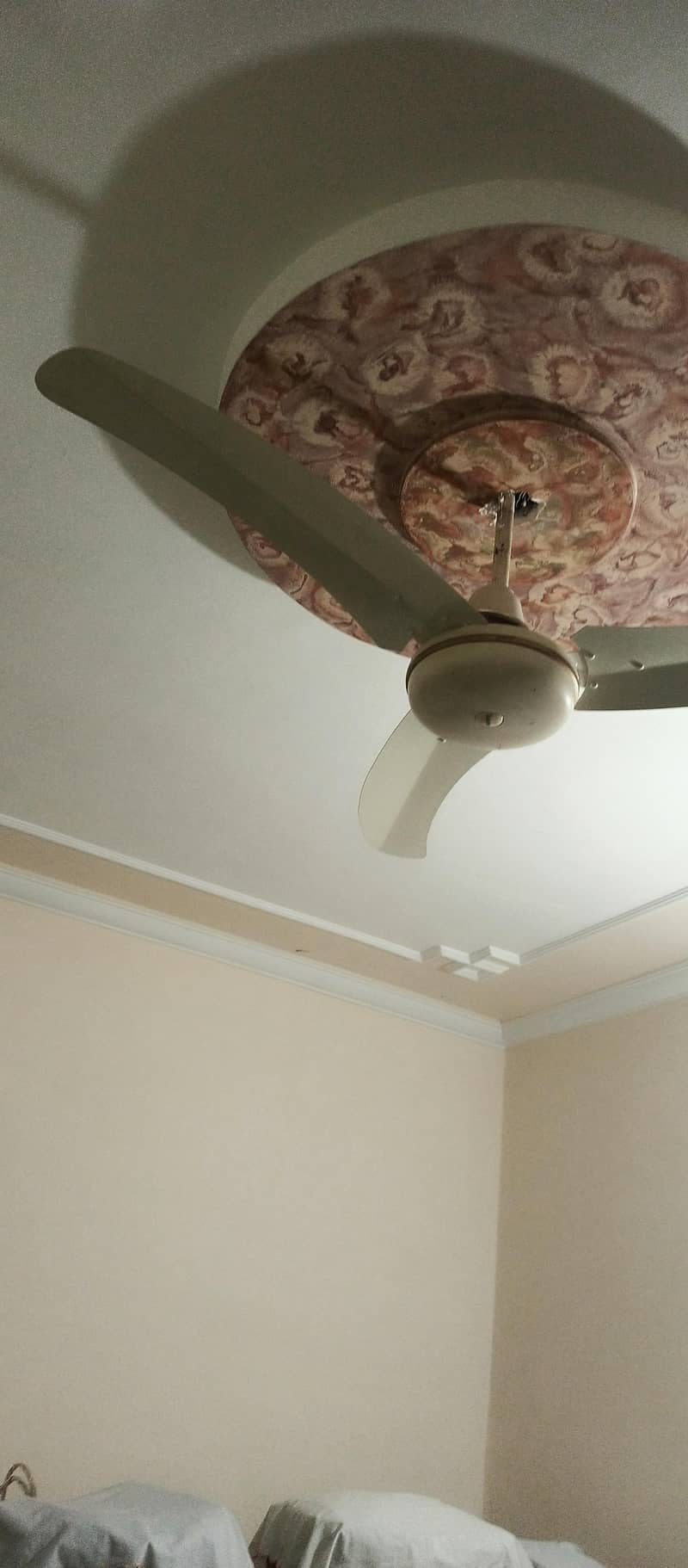 ceiling fan 0
