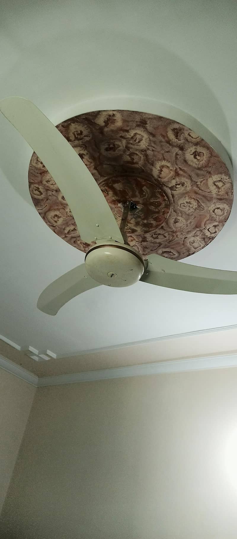 ceiling fan 1