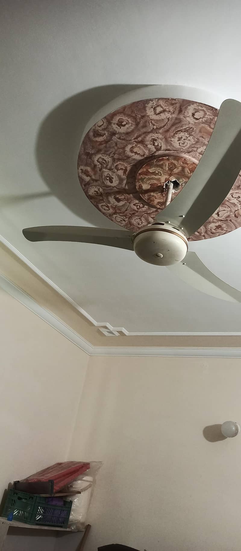 ceiling fan 3