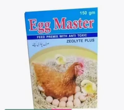 egg master