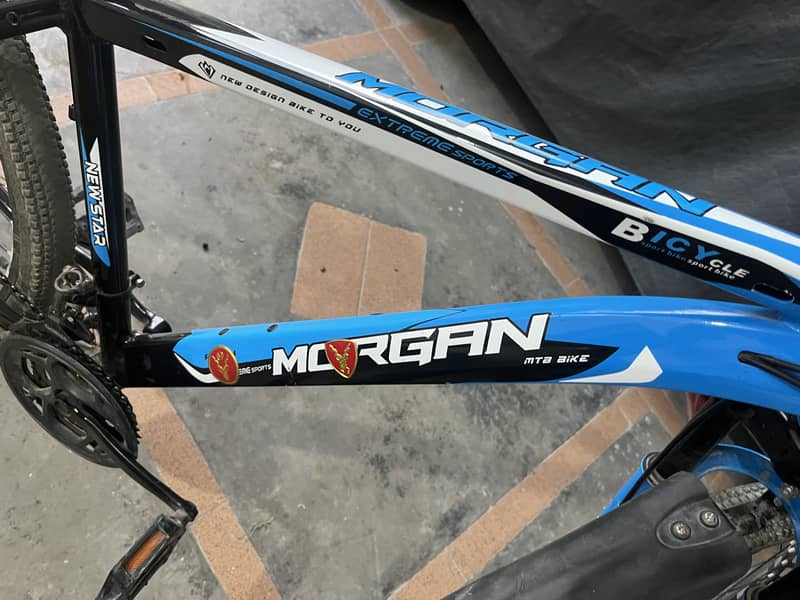 Morgan 2