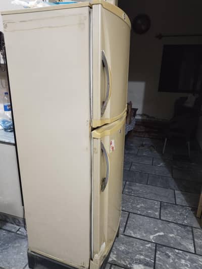 home fridge
