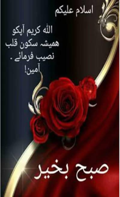 Online Quran Academy