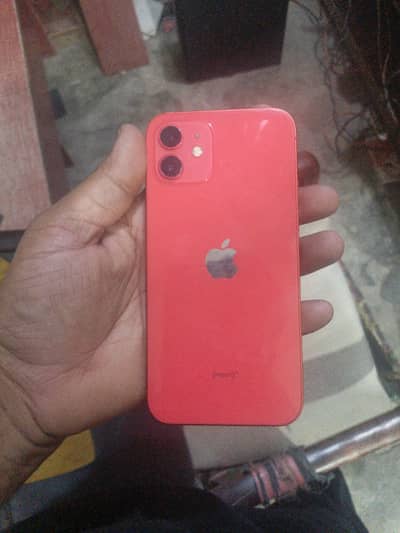 I phone 12