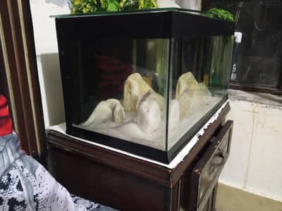 for sale said table aquarium