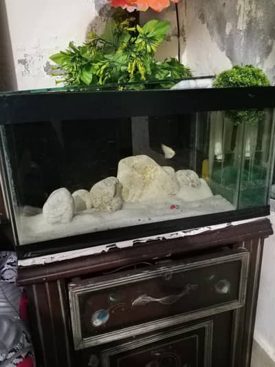 for sale said table aquarium